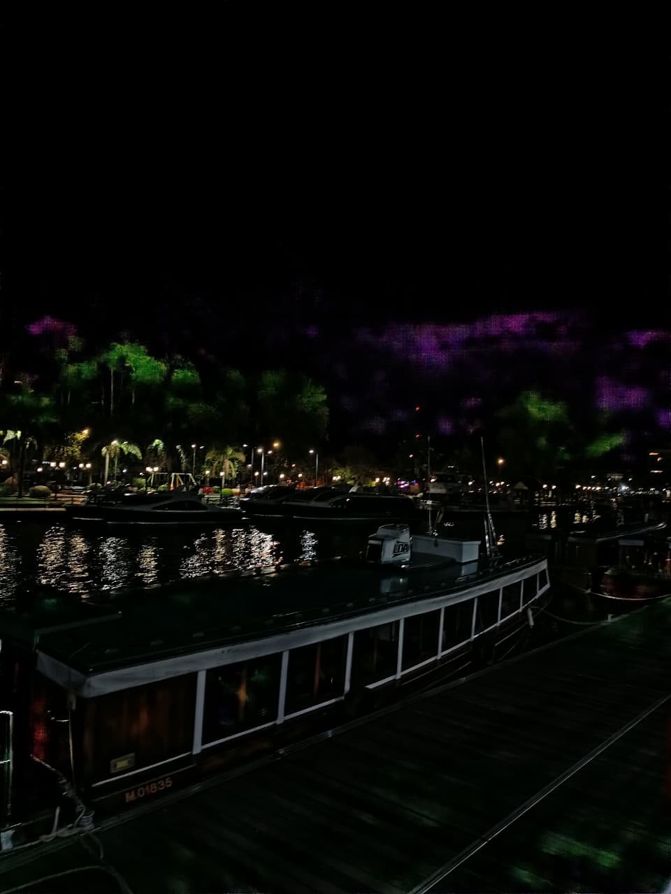 Noche Magica